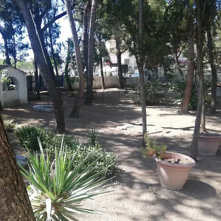 Apartment Wild Paradise