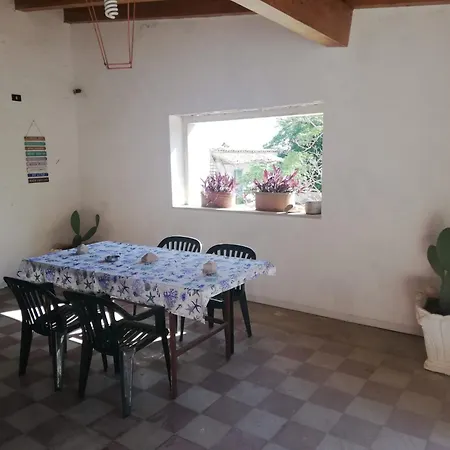 Wild Paradise Apartment